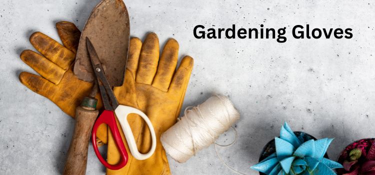 Gardening Gloves handle cactus