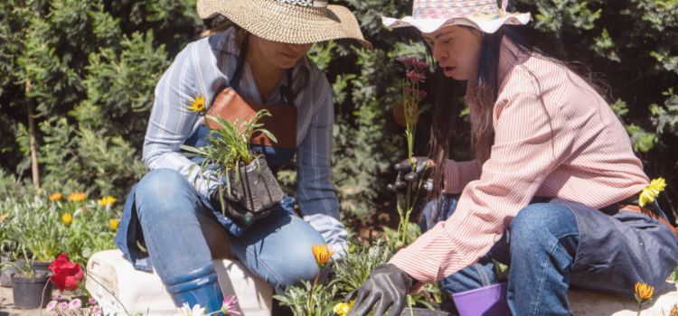 Proof Gardening Gloves handle cactus