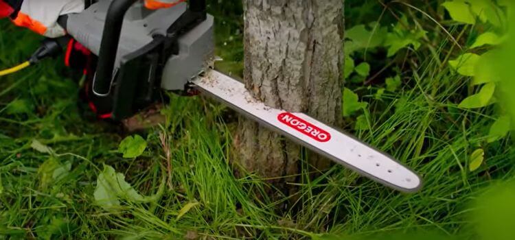 Hedge Trimmer vs Chainsaw