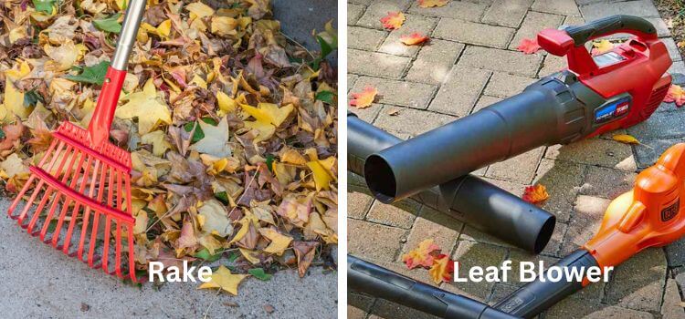 Rake vs Leaf Blower