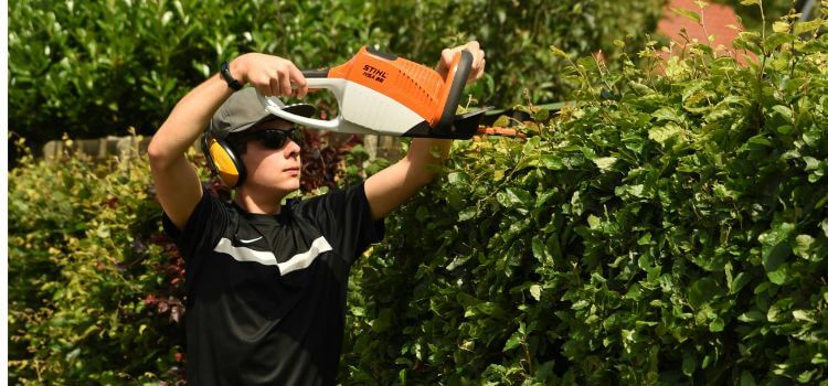 How to Sharpen Hedge Trimmer Blades