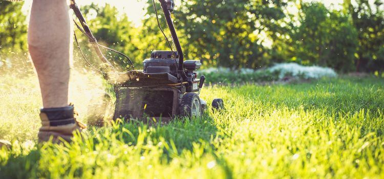 How to Bypass Primer Bulb on Lawn Mower 