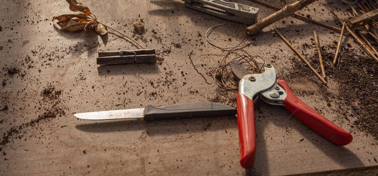 How to Clean Pruning Shears 