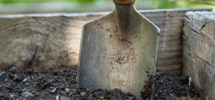 Can You Use Garden Soil For Potted Plants 