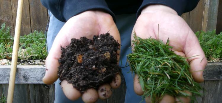 How To Compost Grass Clippings