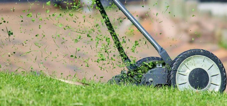How To Keep Grass From Sticking To Lawn Mower Wheels
