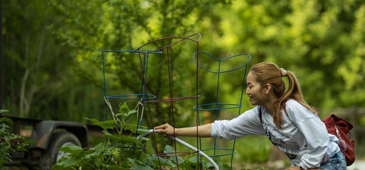 How Often Should You Water Outdoor Plants