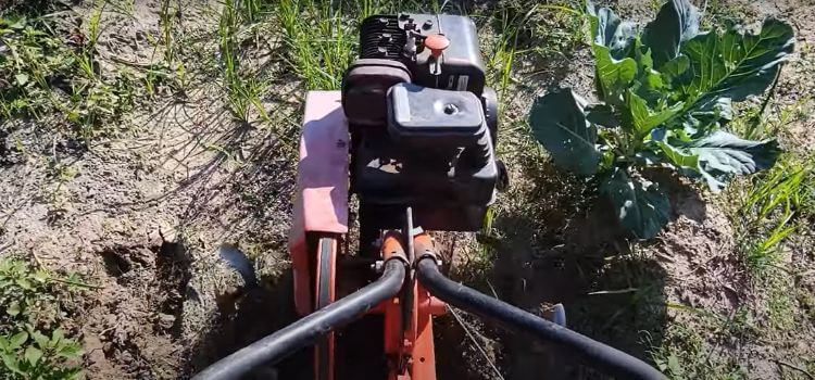 How To Use A Tiller To Remove Grass  Easy Steps