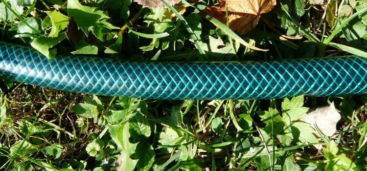 How to Stop Garden Hose from Leaking