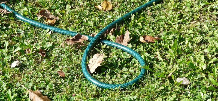 How to Stop Garden Hose from Leaking