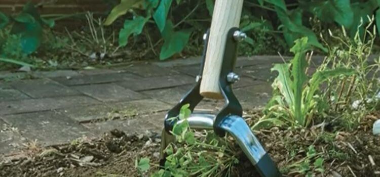 Different Types Of Hoes For Garden Outdoor 