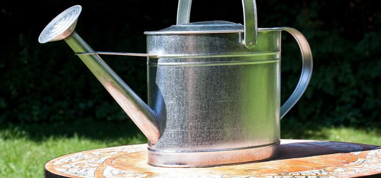 How to Fix a Leaking Watering Can