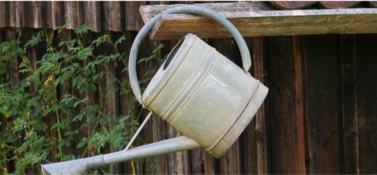 How to Fix a Leaking Watering Can