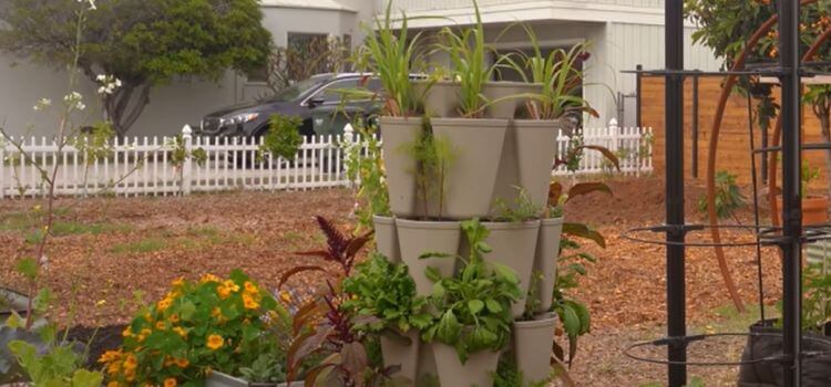 Vertical Gardening 