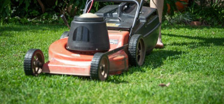 Garden And Lawn Care 