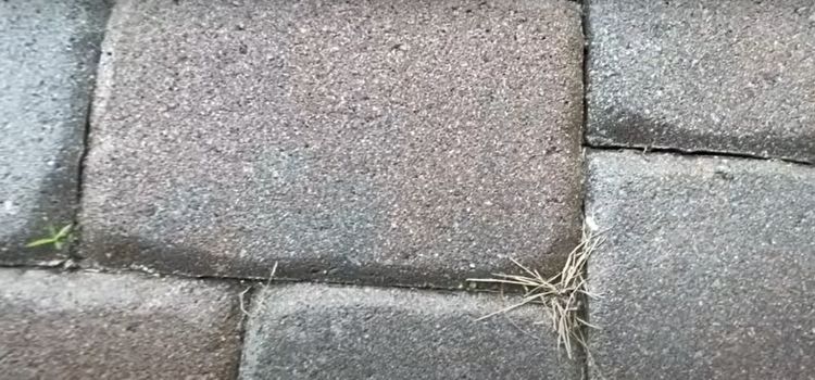 How To Kill Weeds Between Pavers