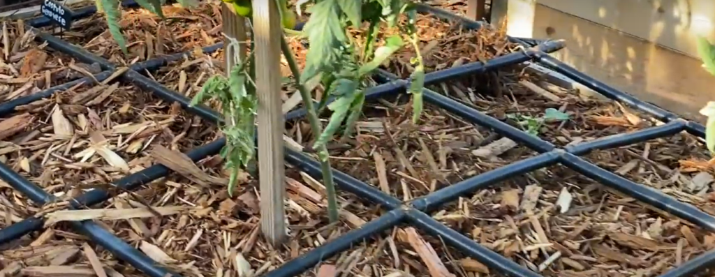 How to Use Mulch for Weed Control