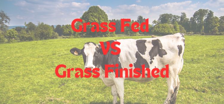 What is the Difference between Grass Fed And Grass Finished