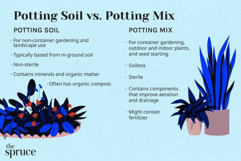 Can Outdoor Potting Soil Be Used for Indoor Plants