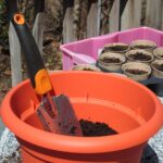 What Soil for Container Gardening