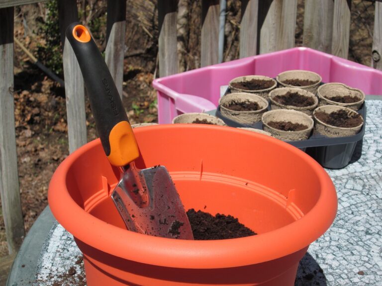 What Soil for Container Gardening