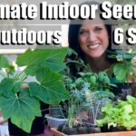 How to Acclimate Plants to Outdoors