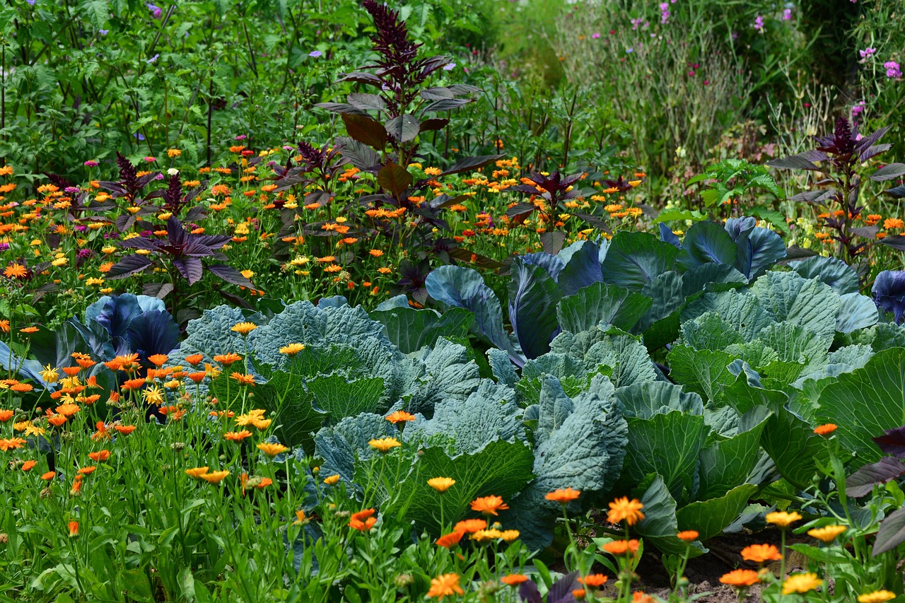 Kill Weeds Vegetable Gardens