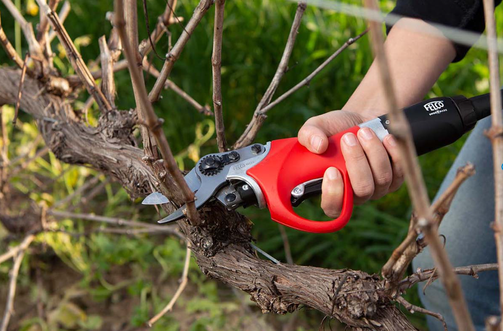 Benefits of Electric Pruners for Precise Plant Care