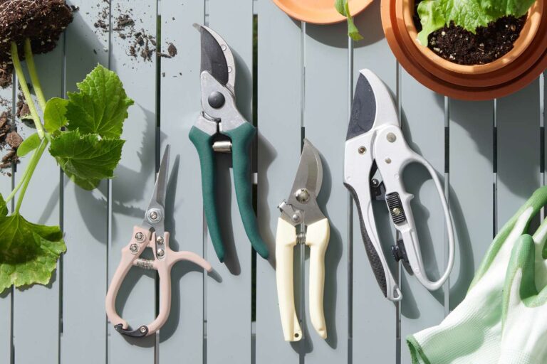 Best Types of Pruners for Different Garden Shrubs