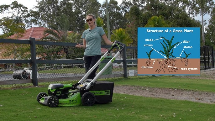 Common Mistakes to Avoid With Cordless Lawn Edgers