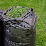 Pros And Cons of Using Grass Clippings As Mulch