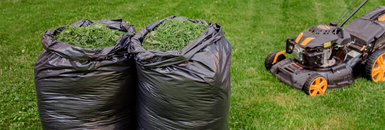 Pros And Cons of Using Grass Clippings As Mulch