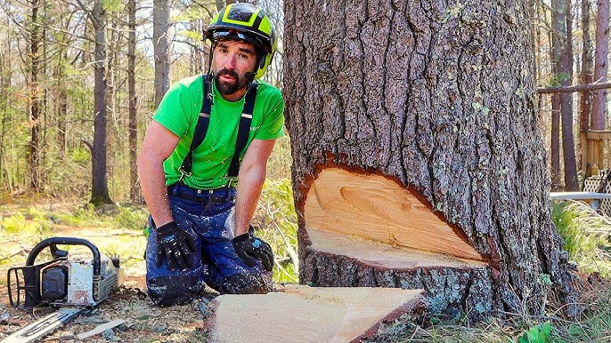 Step-By-Step Guide to Using a Pole Saw on Tall Trees