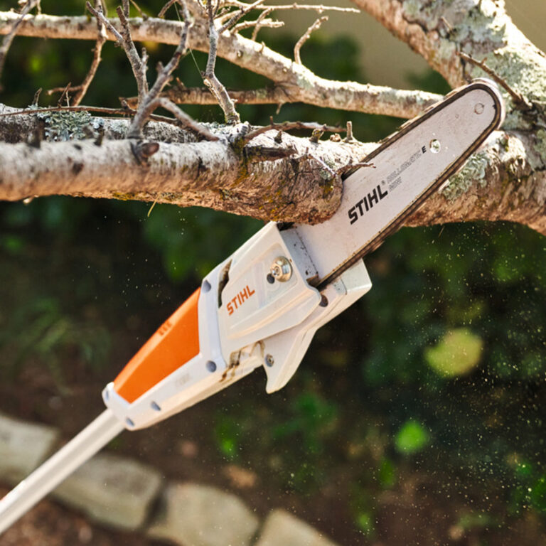 When to Use a Pole Saw Versus a Regular Chainsaw