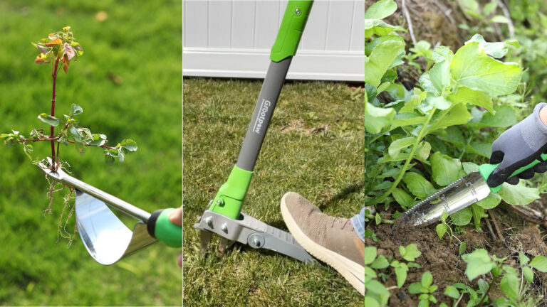 Guide to Using Manual Weeding Tools Effectively