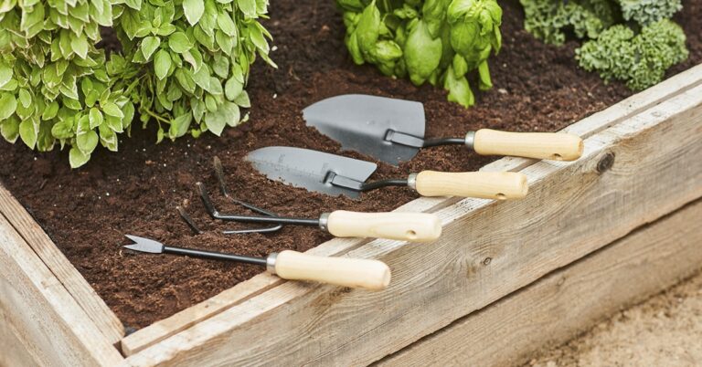 How to Choose the Right Tools for Small Gardens