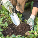 Top Safety Tips for Using Hand Tools in the Garden