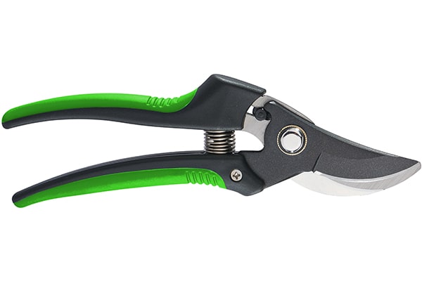 What Features to Look for in Pruning Shears