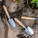 Why Sharp Tools are Better for Garden Tasks