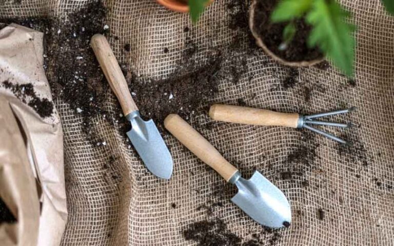 Why Sharp Tools are Better for Garden Tasks