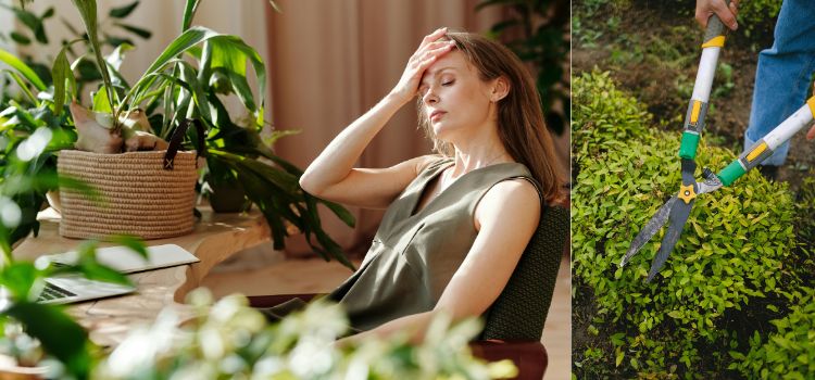 How to Reduce Hand Fatigue While Using Gardening Tools Expert Tips