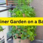 Container Garden on a Balcony