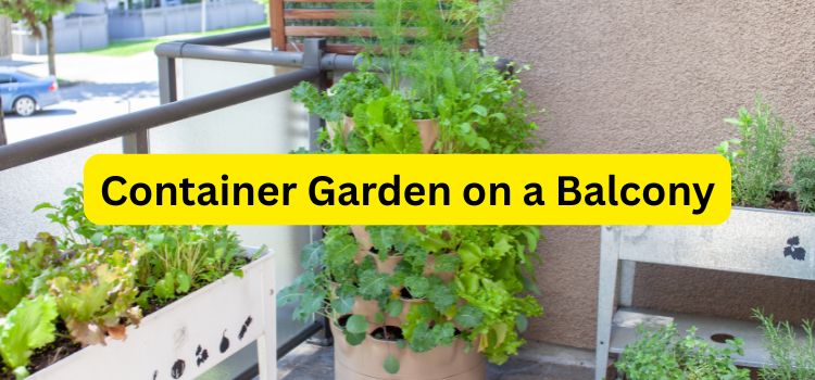 Container Garden on a Balcony