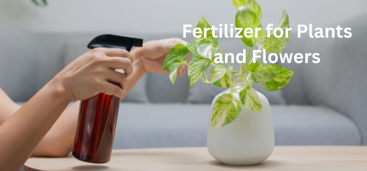 Fertilizer for Plants