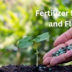 Fertilizer for Plants