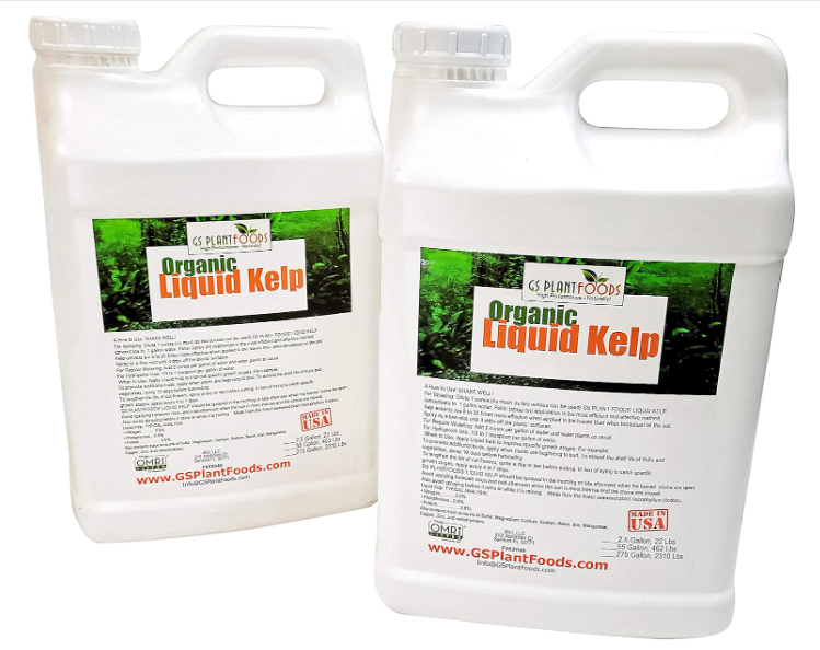 GS Plant Foods Liquid Kelp Fertilizer