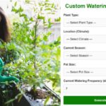 How to Create a Custom Watering Schedule for Your Plants Plant Watering Tool