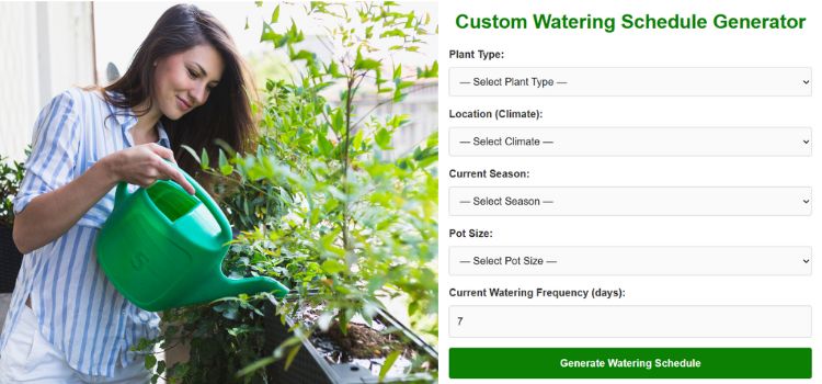 How to Create a Custom Watering Schedule for Your Plants Plant Watering Tool