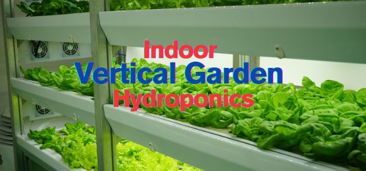 Indoor Vertical Garden Hydroponics Grow Fresh Indoors