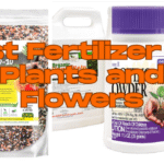 Top 5 Best Fertilizer for Plants and Flowers in 2025